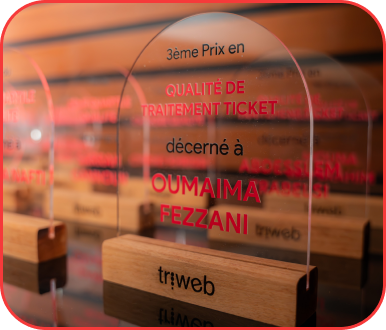 Prix qualité de traitement ticket Triweb